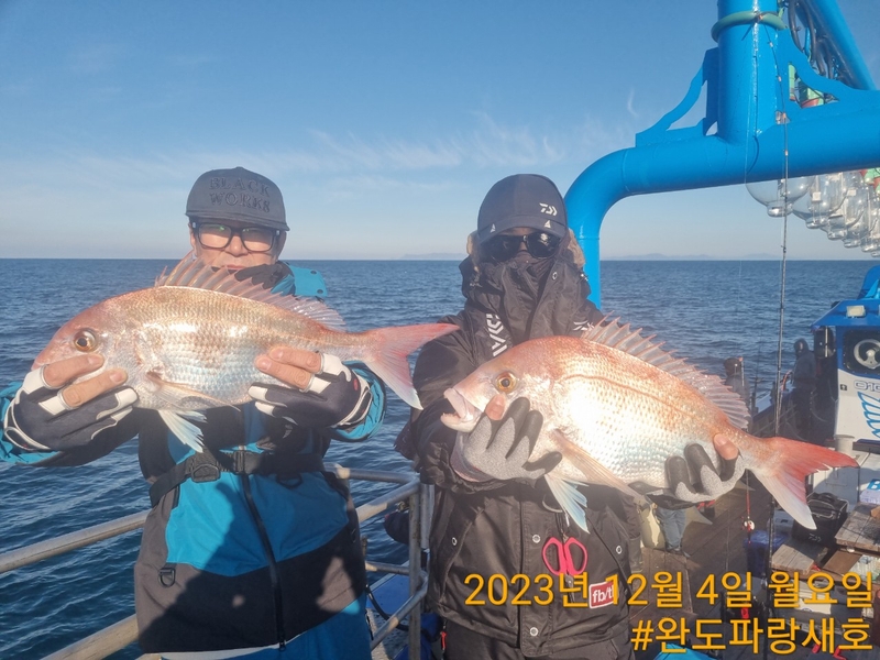 완도파랑새호(블루버드호)의 조황일지 이미지 - 10