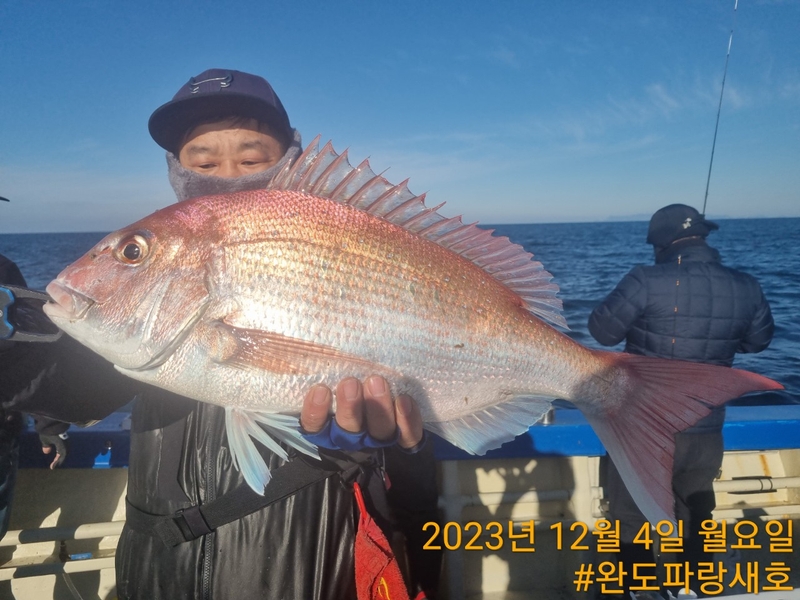 완도파랑새호(블루버드호)의 조황일지 이미지 - 7