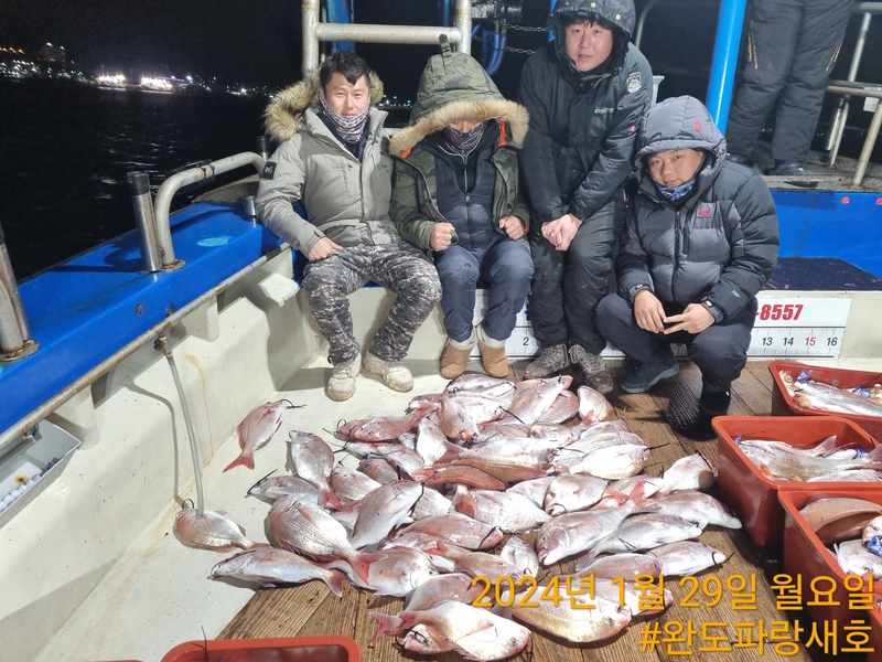 완도파랑새호(블루버드호)의 조황일지 이미지 - 7