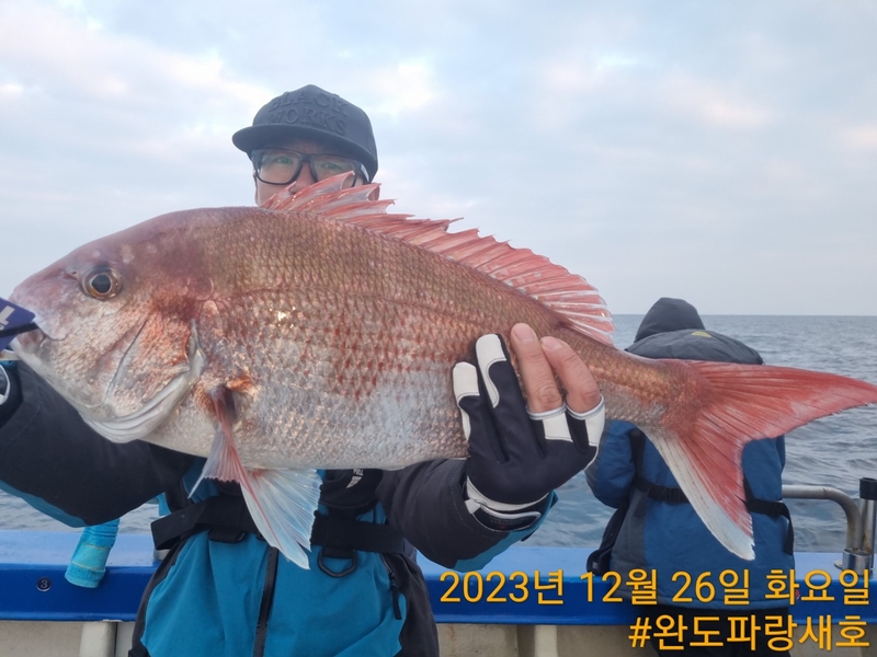 완도파랑새호(블루버드호)의 조황일지 이미지 - 3