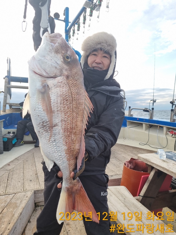 완도파랑새호(블루버드호)의 조황일지 이미지 - 6