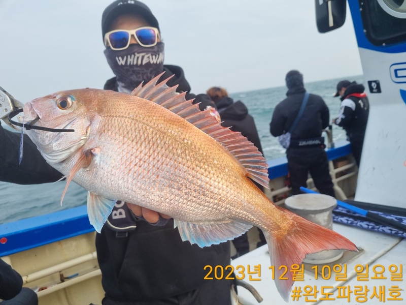 완도파랑새호(블루버드호)의 조황일지 이미지 - 14