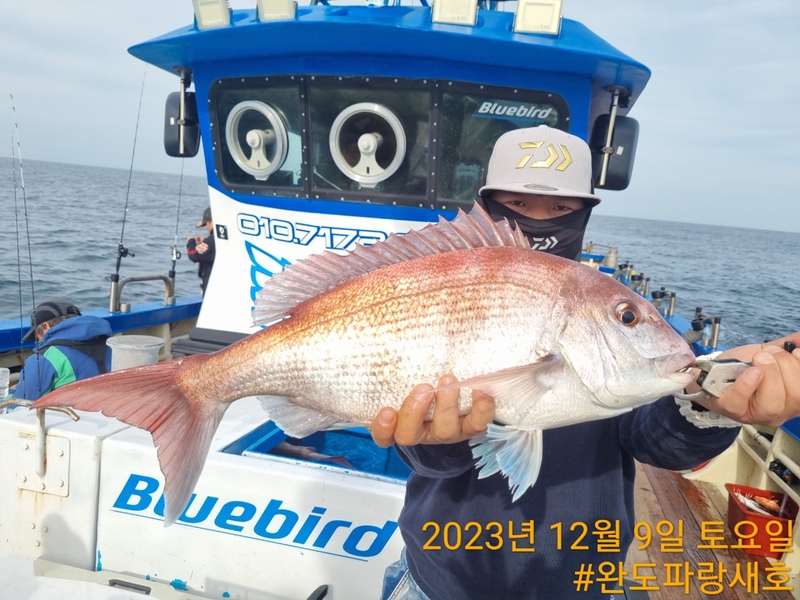 완도파랑새호(블루버드호)의 조황일지 이미지 - 7