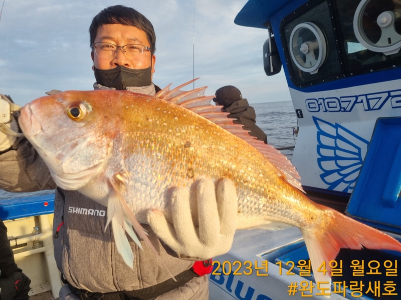 완도파랑새호(블루버드호)의 조황일지 이미지 - 2