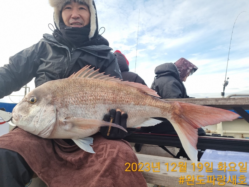 완도파랑새호(블루버드호)의 조황일지 이미지 - 8