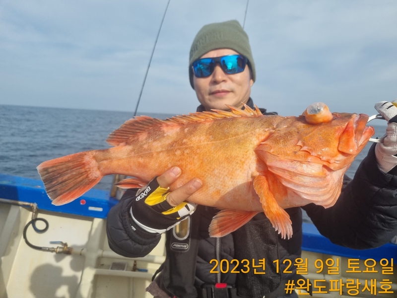 완도파랑새호(블루버드호)의 조황일지 이미지 - 6