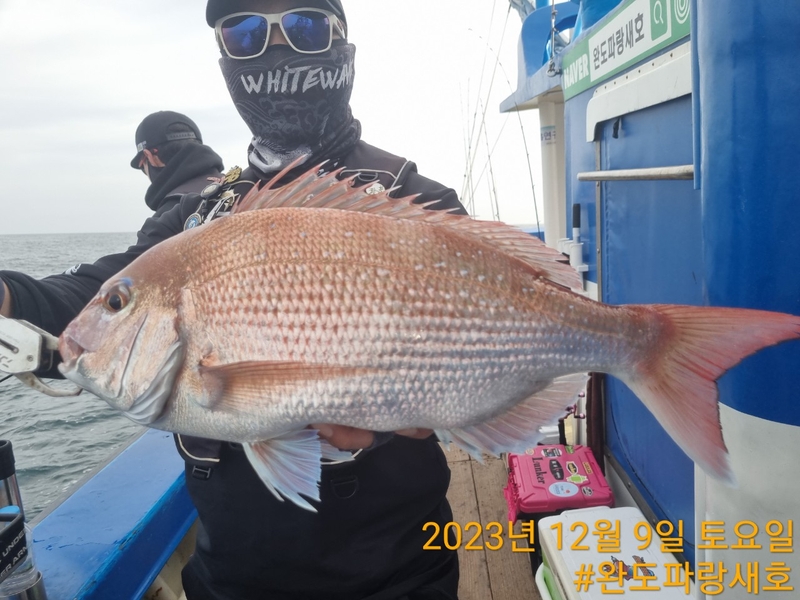 완도파랑새호(블루버드호)의 조황일지 이미지 - 2