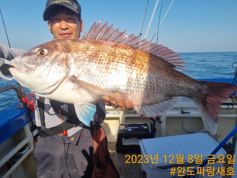 완도파랑새호(블루버드호)의 조황일지 이미지 - 2