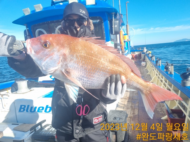 완도파랑새호(블루버드호)의 조황일지 이미지 - 9