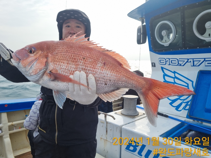 완도파랑새호(블루버드호)의 조황일지 이미지 - 7