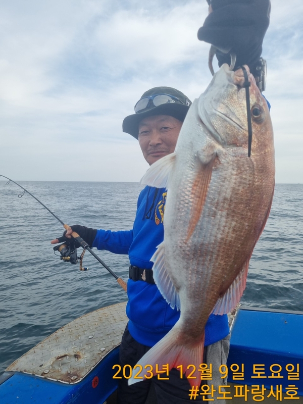 완도파랑새호(블루버드호)의 조황일지 이미지 - 5