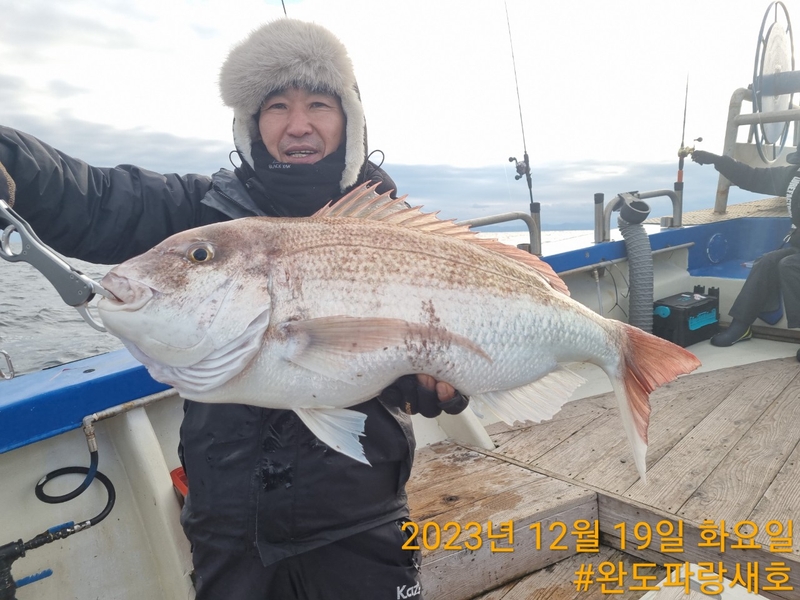 완도파랑새호(블루버드호)의 조황일지 이미지 - 11