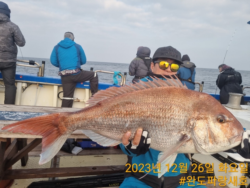 완도파랑새호(블루버드호)의 조황일지 이미지 - 8