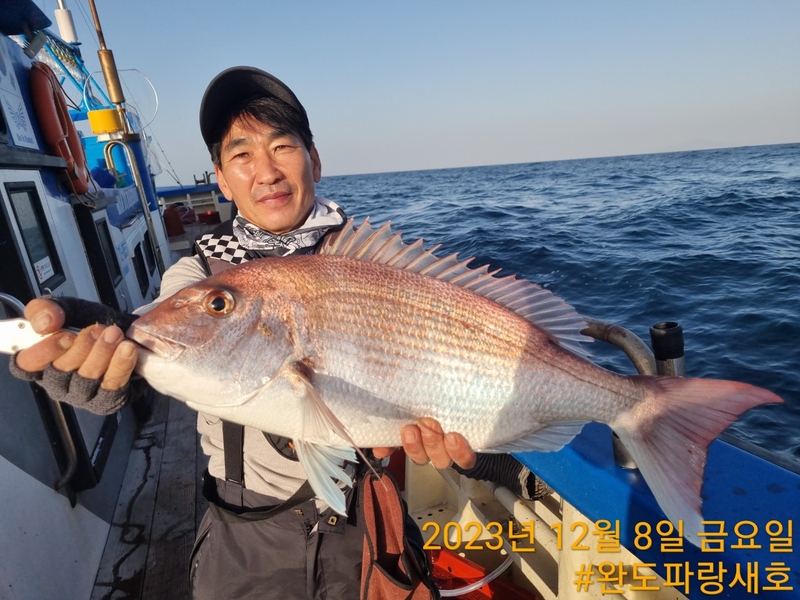 완도파랑새호(블루버드호)의 조황일지 이미지 - 4