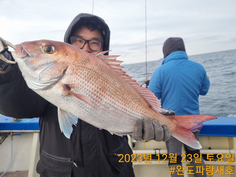 완도파랑새호(블루버드호)의 조황일지 이미지 - 6