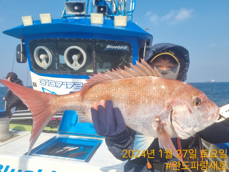 완도파랑새호(블루버드호)의 조황일지 이미지 - 3
