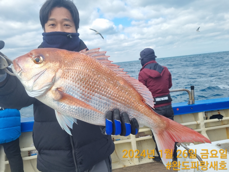 완도파랑새호(블루버드호)의 조황일지 이미지 - 4