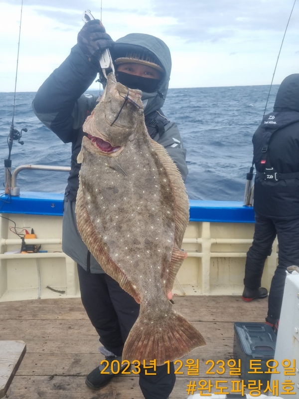 완도파랑새호(블루버드호)의 조황일지 이미지 - 12