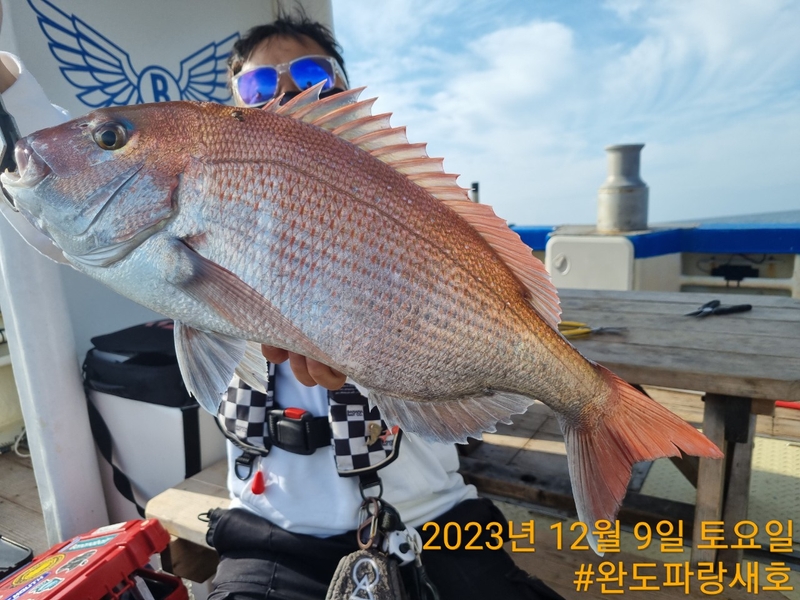 완도파랑새호(블루버드호)의 조황일지 이미지 - 8