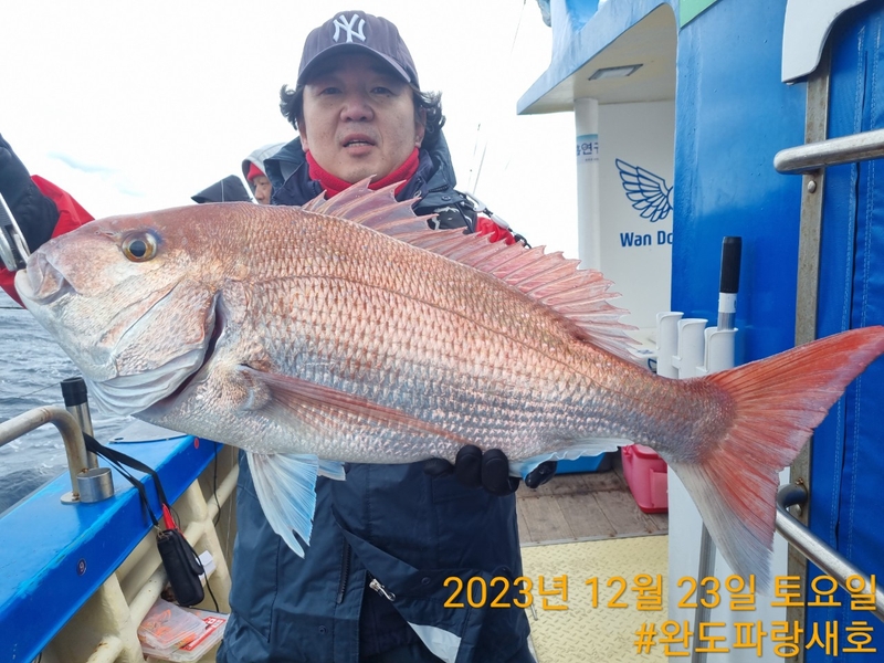 완도파랑새호(블루버드호)의 조황일지 이미지 - 3