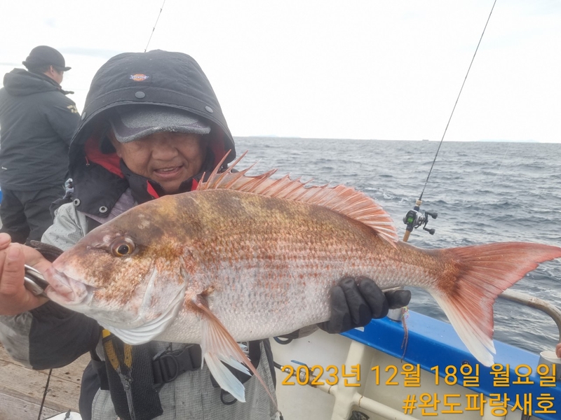 완도파랑새호(블루버드호)의 조황일지 이미지 - 1