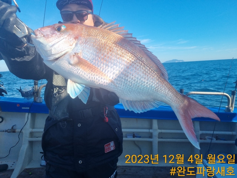 완도파랑새호(블루버드호)의 조황일지 이미지 - 13