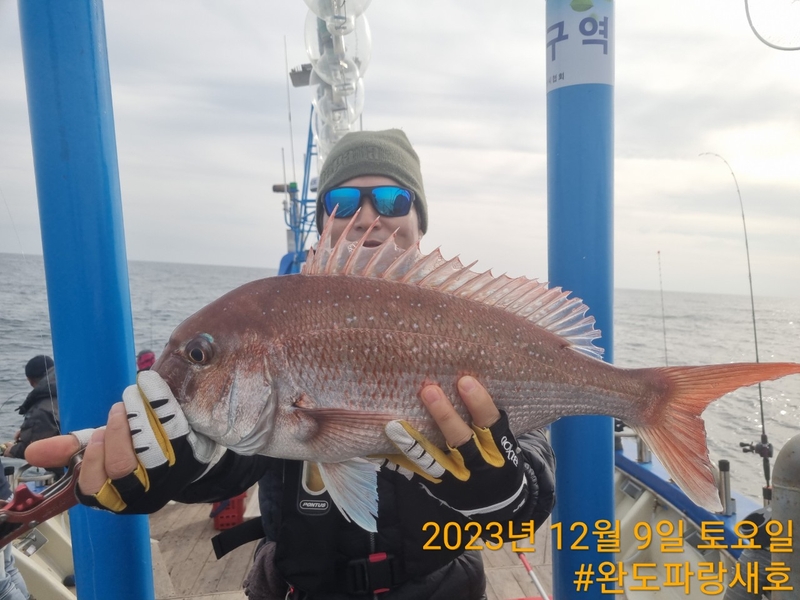 완도파랑새호(블루버드호)의 조황일지 이미지 - 12