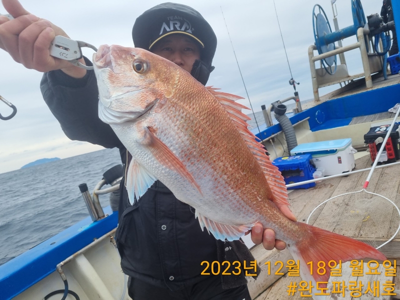 완도파랑새호(블루버드호)의 조황일지 이미지 - 4