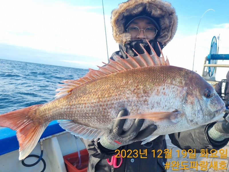 완도파랑새호(블루버드호)의 조황일지 이미지 - 9