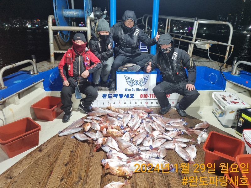 완도파랑새호(블루버드호)의 조황일지 이미지 - 6