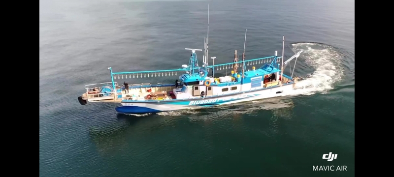 해당 선사를 대표하는 이미지