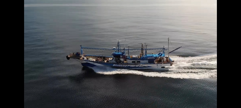 해당 선사를 대표하는 이미지