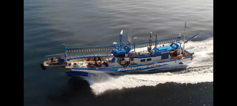 해당 선사를 대표하는 이미지