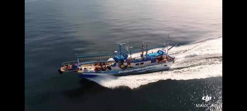 해당 선사를 대표하는 이미지