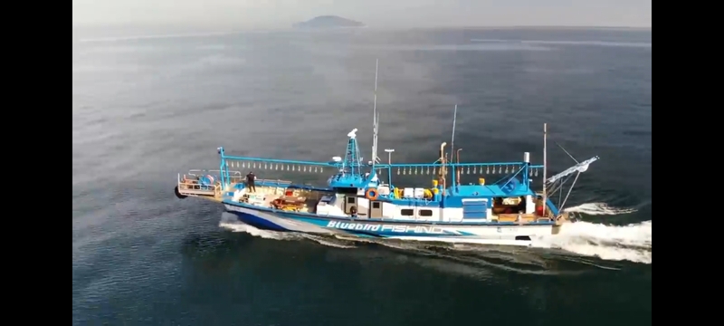 해당 선사를 대표하는 이미지