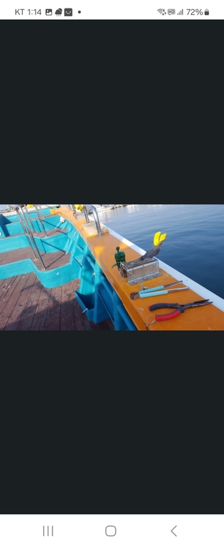 해당 선사를 대표하는 이미지