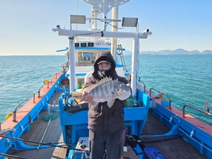 감성돔 5학년2마리포합26마리 선상낚시로 잡은 물고기 조황