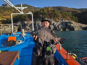 어제 조황 대물 감시 선상낚시로 잡은 물고기 조황