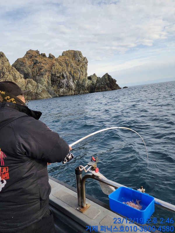 거제 피닉스호의 조황일지 이미지 - 6