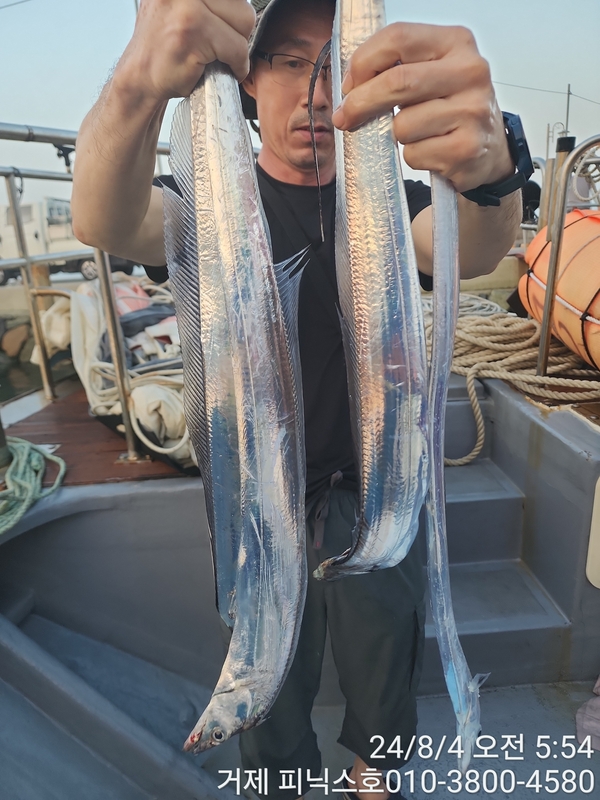 거제 피닉스호의 조황일지 이미지 - 9