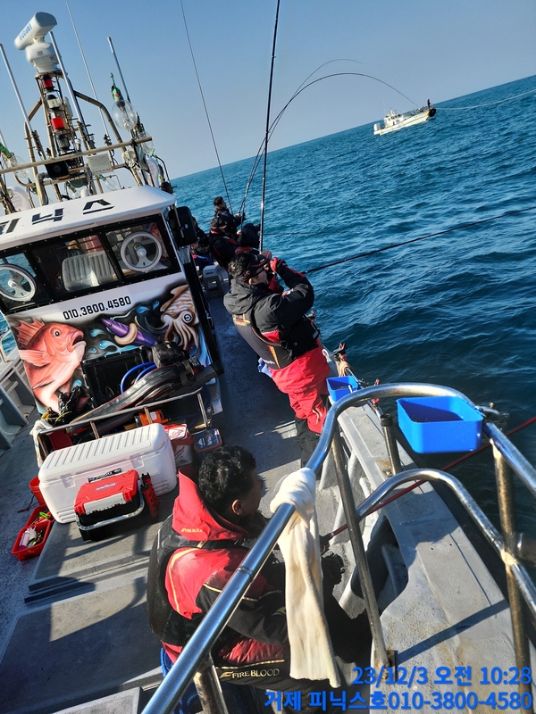 거제 피닉스호의 조황일지 이미지 - 3