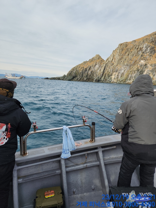 거제 피닉스호의 조황일지 이미지 - 5