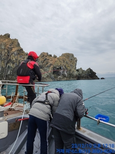 19일 홍도 흘림 조황 입니다 선상낚시로 잡은 물고기 조황