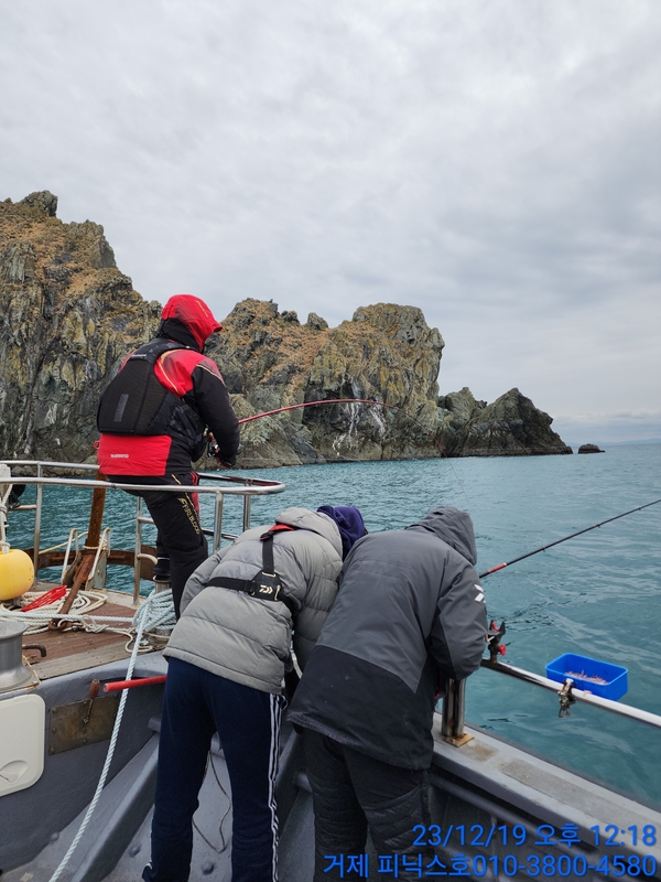 거제 피닉스호의 조황일지 이미지 - 0