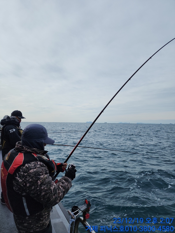 거제 피닉스호의 조황일지 이미지 - 4