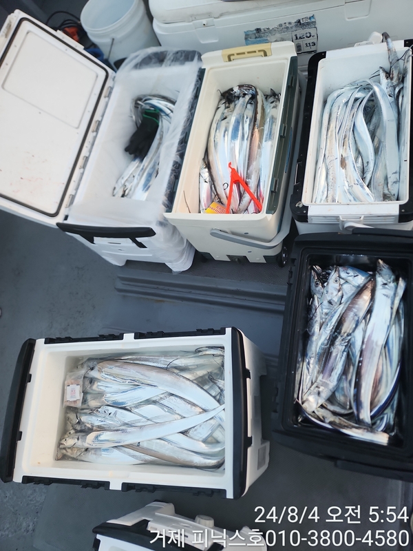 거제 피닉스호의 조황일지 이미지 - 8