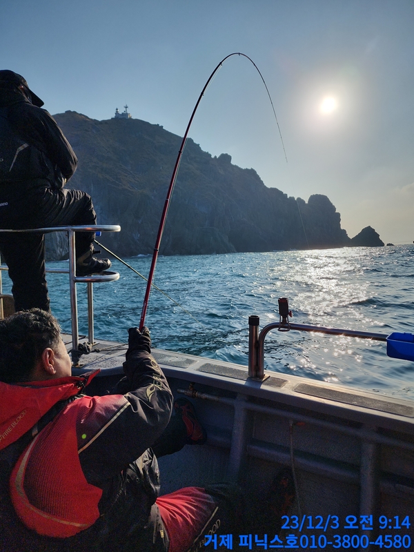 거제 피닉스호의 조황일지 이미지 - 4