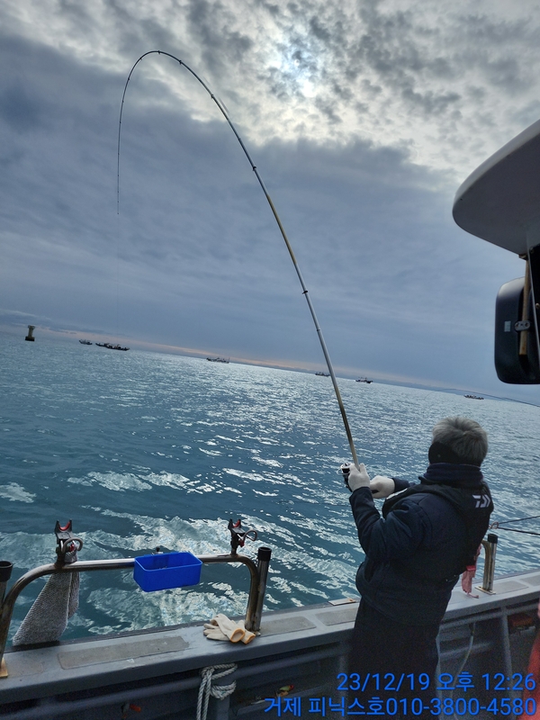 거제 피닉스호의 조황일지 이미지 - 3