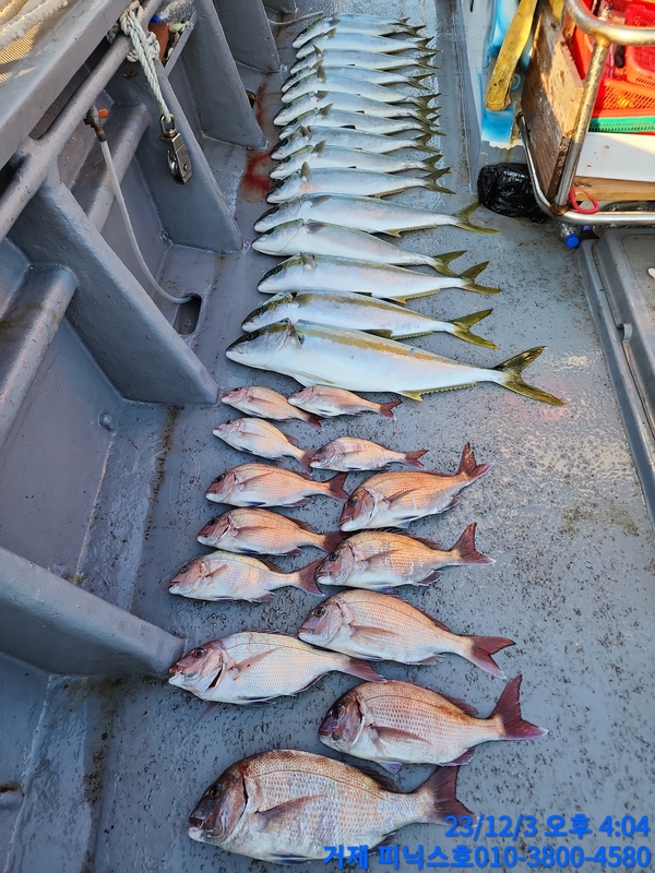 거제 피닉스호의 조황일지 이미지 - 0