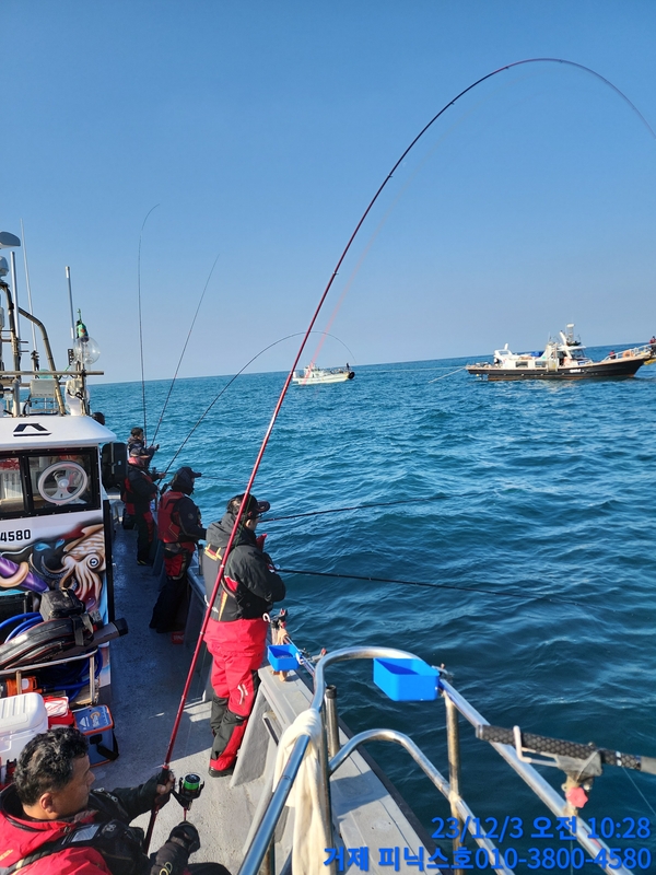 거제 피닉스호의 조황일지 이미지 - 2